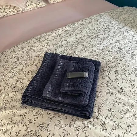 Z Pieknym Widokiem Na Zachodni 什切青